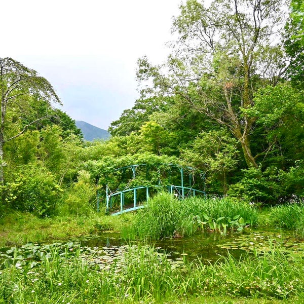 【静岡県内発】 母の日ミステリー ~いつも頑張ってるお母さんへ!カーネーション2本付♪~2